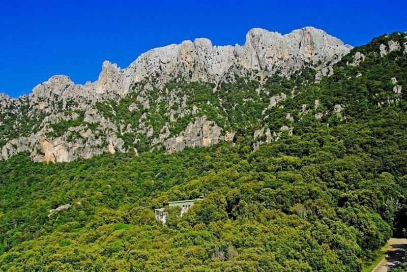 S'Enis Monte Maccione Hotel Олиена Екстериор снимка